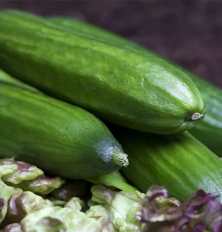 verschiedenen Sorten verschiedenen Sorten