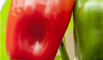 Bösen GmbH & Co.KG Bösen GmbH & Co.KG