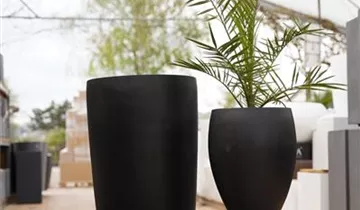 Zum Vergrößern klicken Bildvorschau