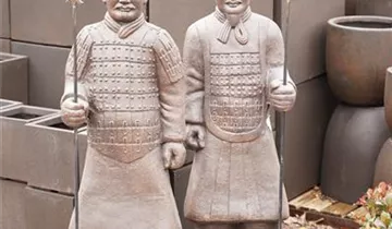 Zum Vergrößern klicken Bildvorschau