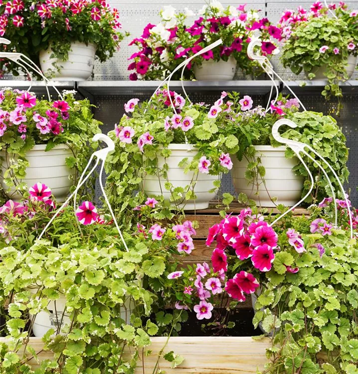 fix & fertig bepflanzt fix & fertig bepflanzt