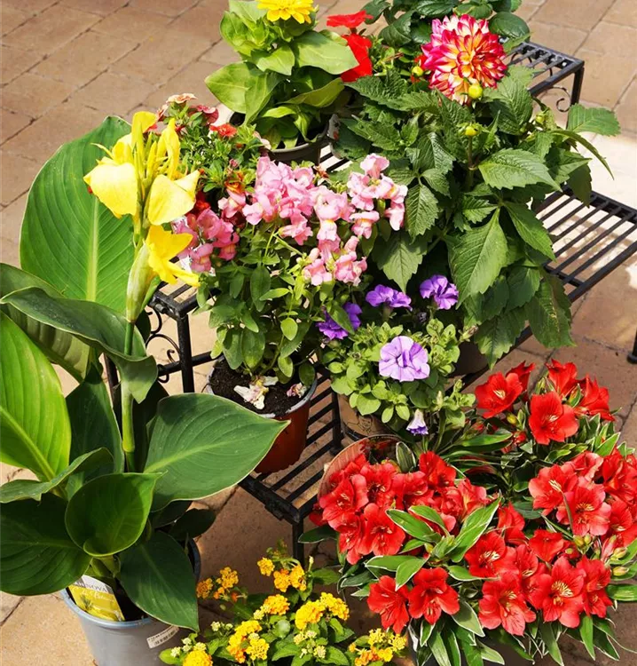 in großer Auswahl in großer Auswahl