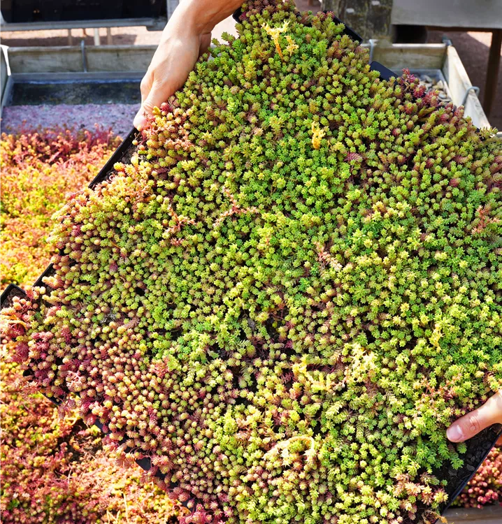 fix und fertig fix und fertig