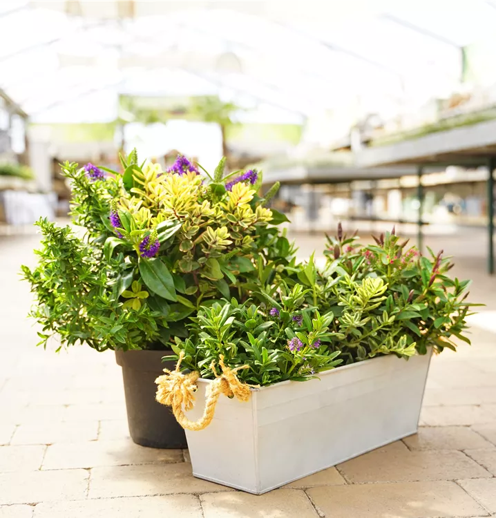 Verschiedene Größen Verschiedene Größen