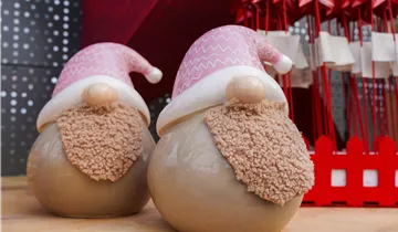 Zum Vergrößern klicken Bildvorschau