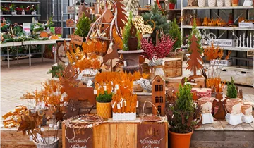 Zum Vergrößern klicken Bildvorschau