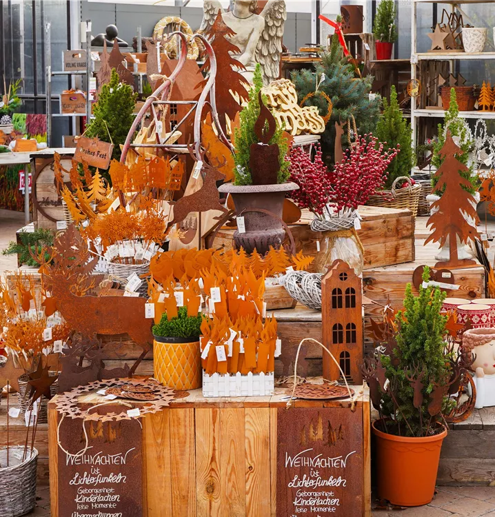 in Rostoptik in Rostoptik