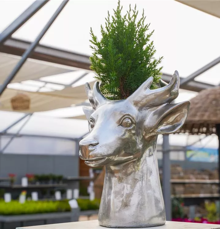 tolle Dekoartikel  tolle Dekoartikel