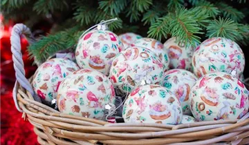 Bösen GmbH & Co.KG Bösen GmbH & Co.KG