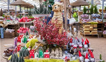 Zum Vergrößern klicken Bildvorschau