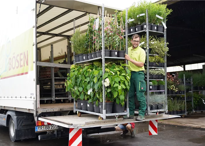 Mitarbeiter Verladung (m/w/d) Mitarbeiter Verladung (m/w/d)