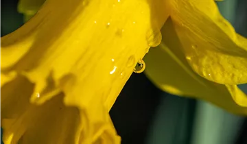 Bösen GmbH & Co.KG Bösen GmbH & Co.KG