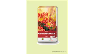 Zum Vergrößern klicken Bildvorschau