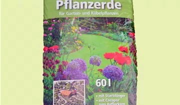 Zum Vergrößern klicken Bildvorschau