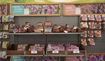 Zum Vergrößern klicken Bildvorschau