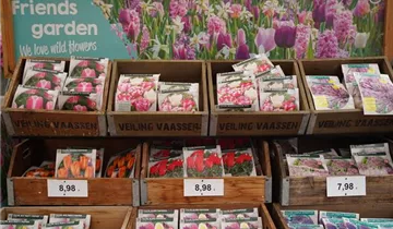 Zum Vergrößern klicken Bildvorschau