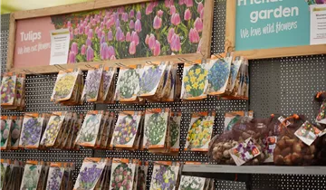 Zum Vergrößern klicken Bildvorschau