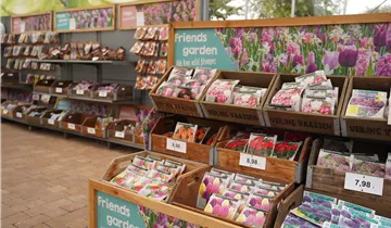 Zum Vergrößern klicken Bildvorschau