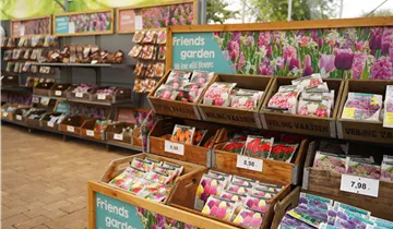 Zum Vergrößern klicken Bildvorschau