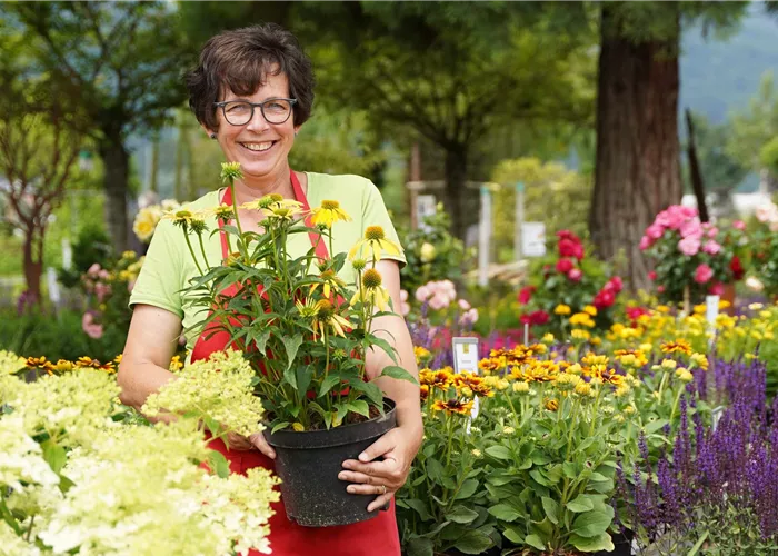 Teilzeitkraft - Empfang-Kundeninformation (m/w/d) Teilzeitkraft - Empfang-Kundeninformation (m/w/d)