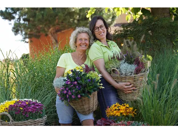 Mitarbeiter:in in der Pflanzenwelt (m/w/d)