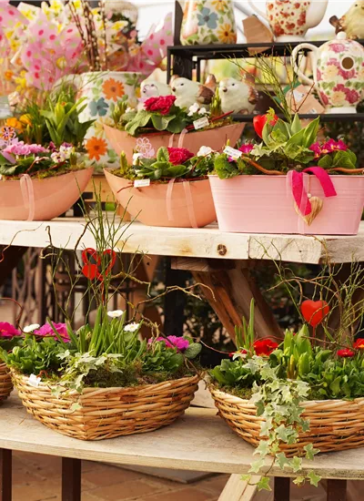 saisonal bepflanzte Gefäße