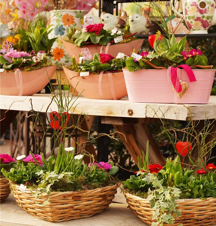 saisonal bepflanzte Gefäße