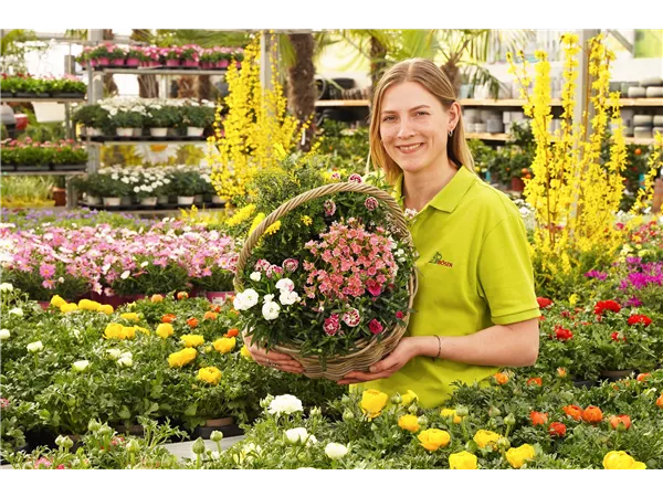 Gärtner/in Fachrichtung Blumen- & Zierpflanzenbau (m/w/d)