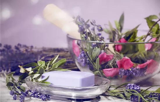 Wellness für die Nase: Düfte für Beet und Beauty Wellness für die Nase: Düfte für Beet und Beauty