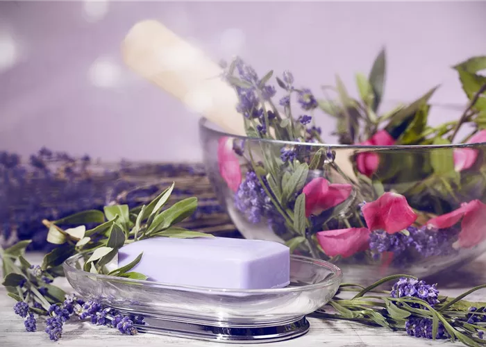 Wellness für die Nase: Düfte für Beet und Beauty